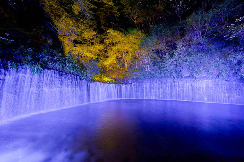 滝の後ろ側にある木々にも光が当てられ、景色全体がひとつのアートのよう