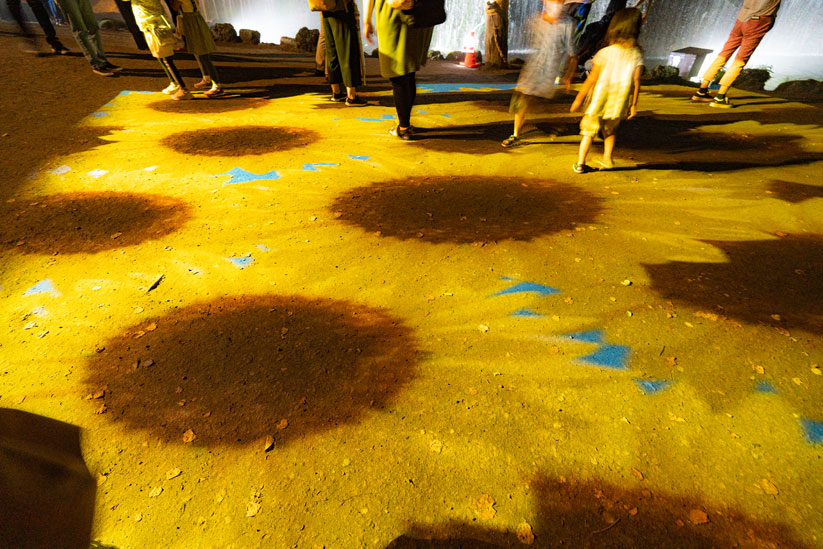 地面にはひまわりや花火、ハートなどが投影される