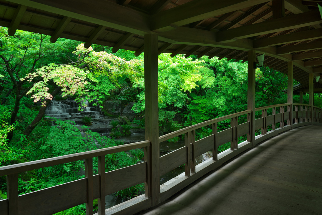 「御屋敷の庭」