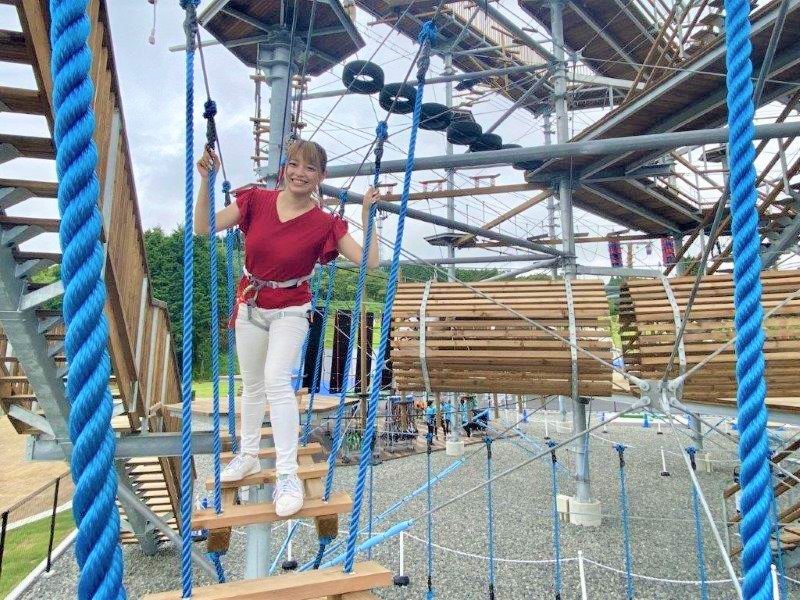 揺れる木のはしご