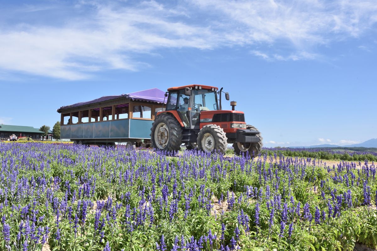 フラワーランドかみふらのトラクターバス