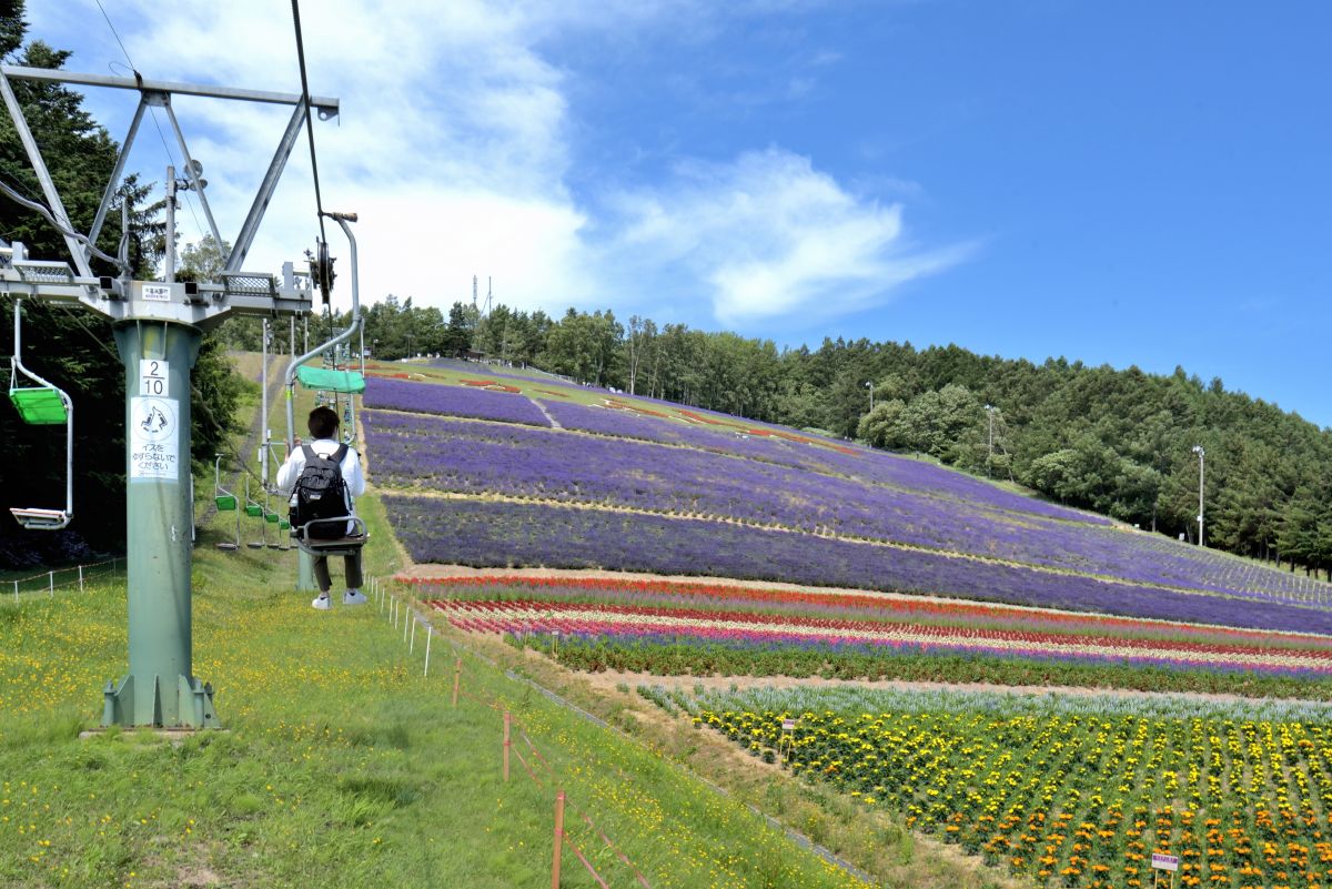北星山ラベンダー園リフト