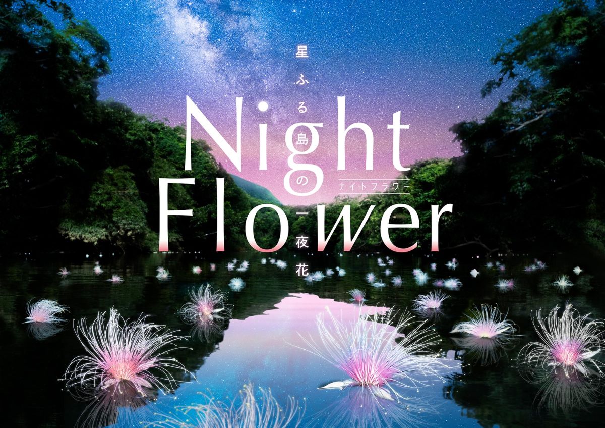 「Night Flower ~星ふる島の一夜花~」