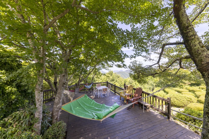 春は満開の桜やサツキの花を眺めながらリラックスできます