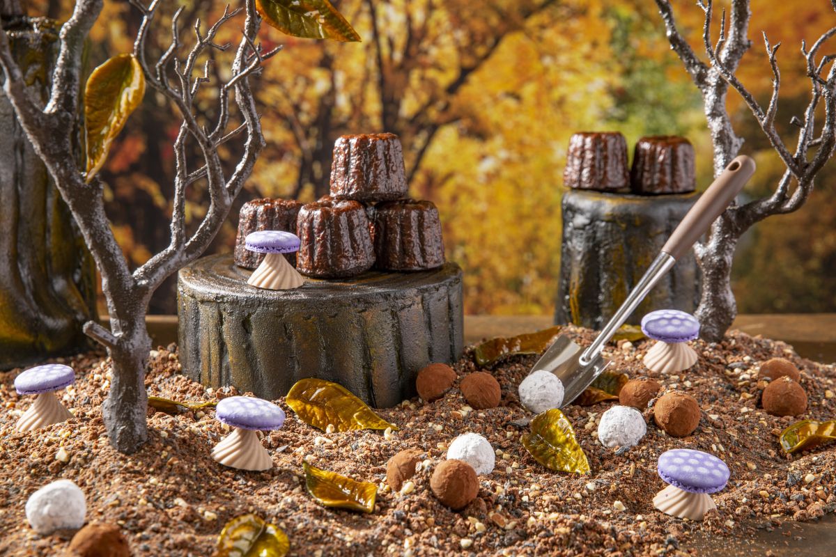 クレイジーきのこ／プラリネ＆ジャンドゥージャトリュフ／トンカ豆&チョコレートカヌレ