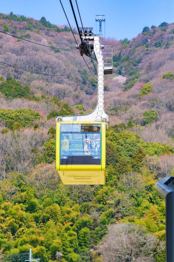 山頂駅まで片道約4分の空中散歩