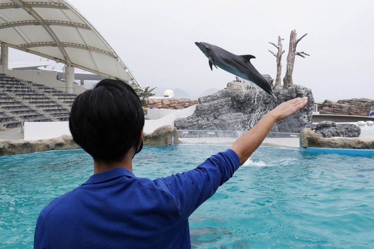 イルカの海 コミュニケーションタイム　1名様：1,050円 定員10名　4歳以上の方対象