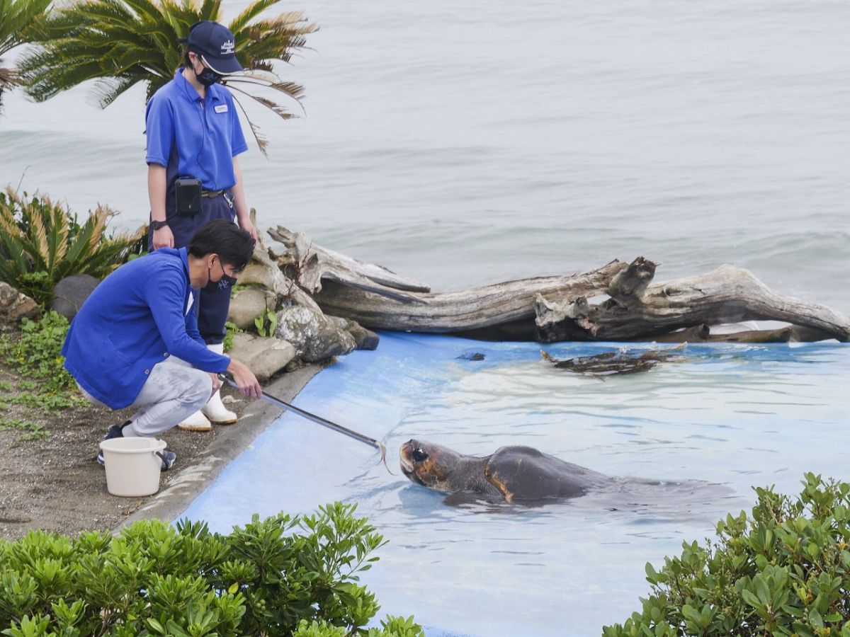 ウミガメの浜 コミュニケーションタイム　1名様：850円 各回定員10名　4歳以上の方対象