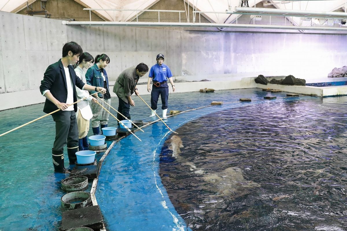 トロピカルアイランド コミュニケーションタイム　1名様：850円 各回定員10名　4歳以上の方対象