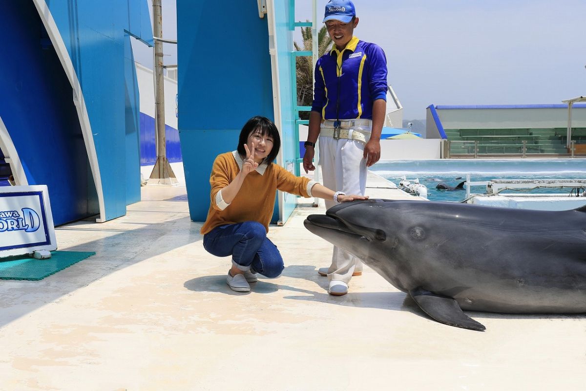イルカにタッチ（サーフスタジアム）　1名様：650円 各回定員20名