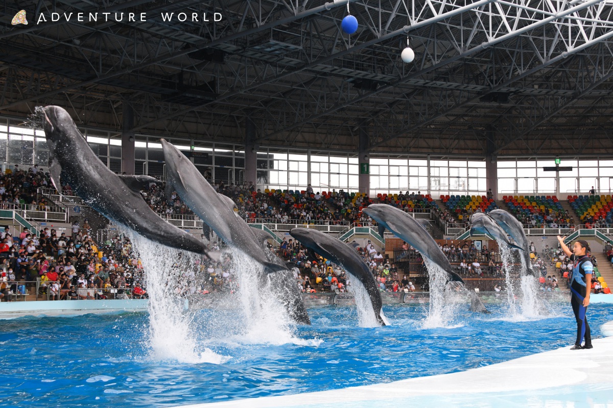 マリンライブSmiles