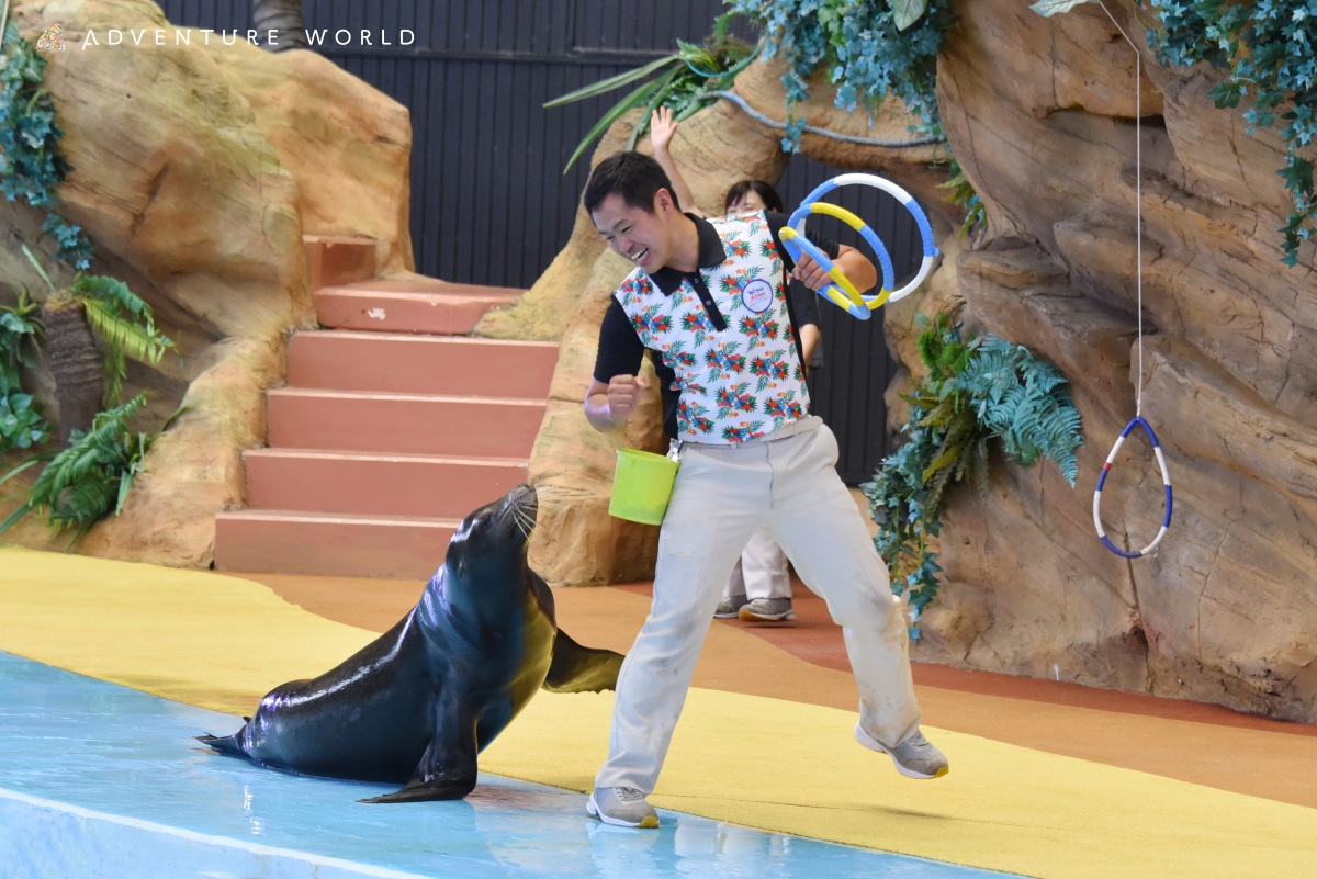 アニマルアクション