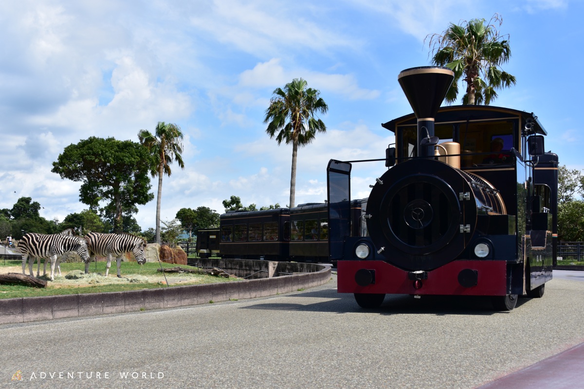 サファリワールドのケニア号