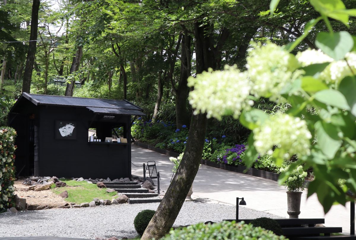 メインエントランスを入って左手にあるチェックインカウンター