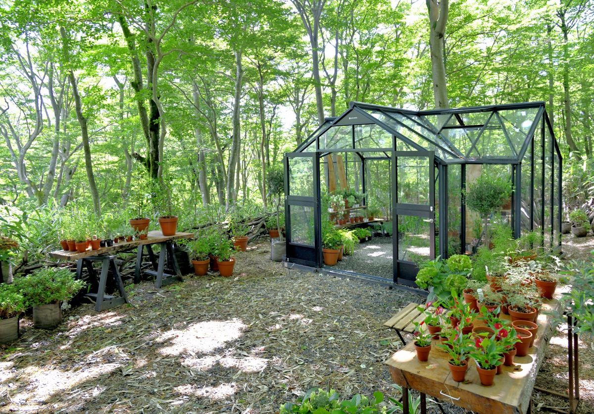 週末には鉢植えを販売する「ショップ パビリオン」