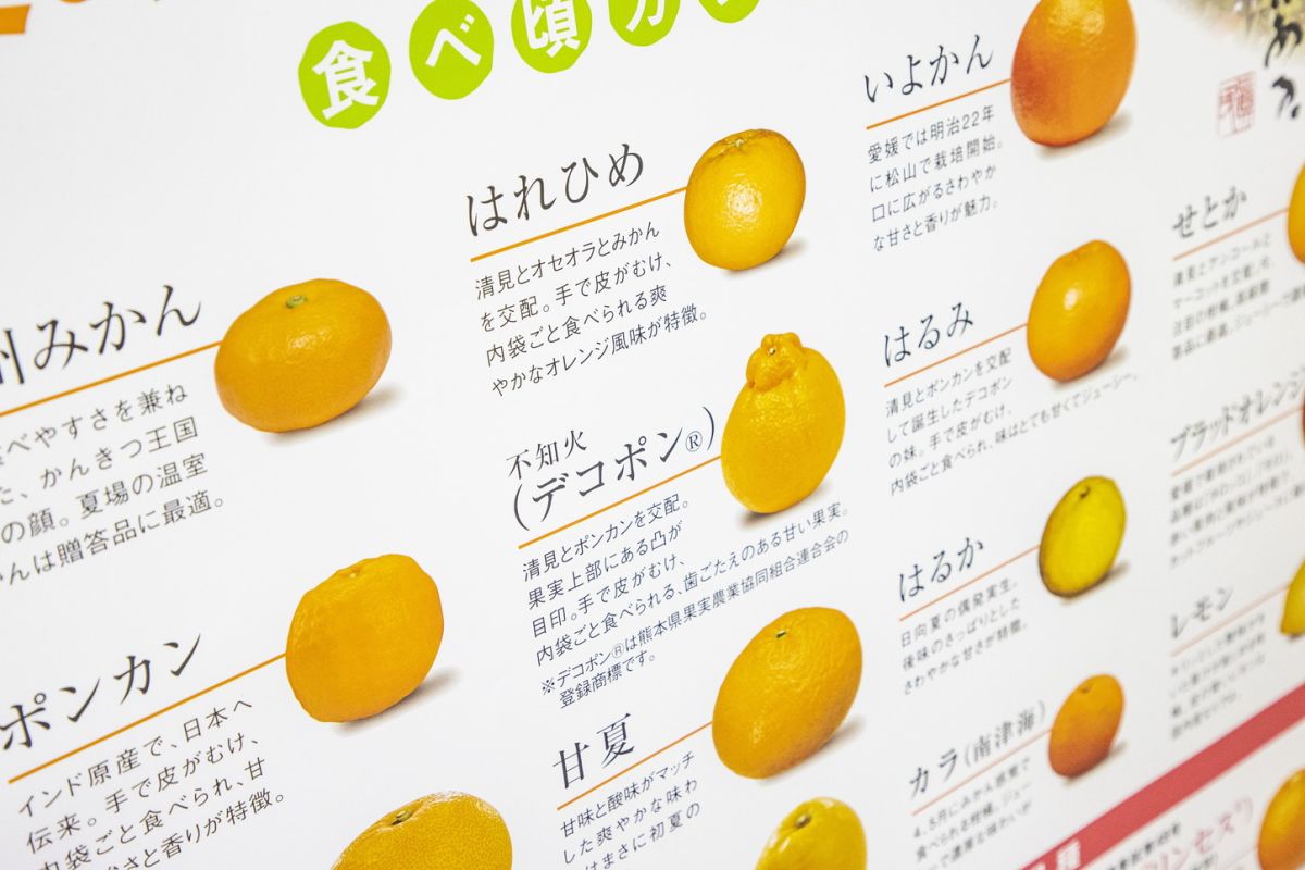 愛媛県観光物産協会 大阪支部