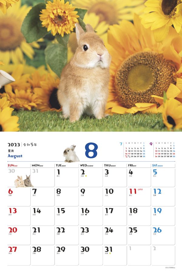 ふわふわうさぎ　8月