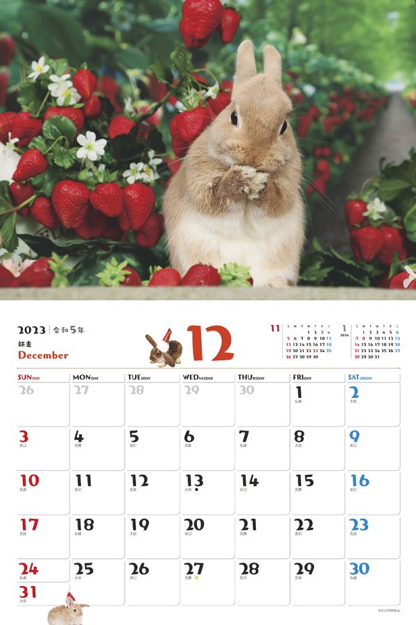 ふわふわうさぎ　12月