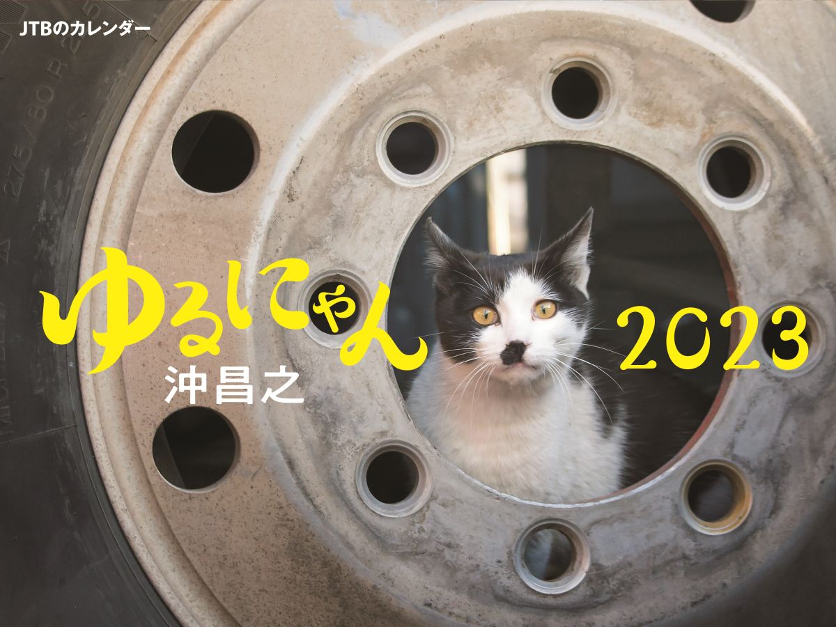 ゆるにゃん 沖昌之 2023　