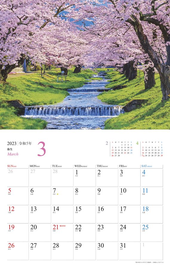 観音寺川のサクラ（福島県）　3月