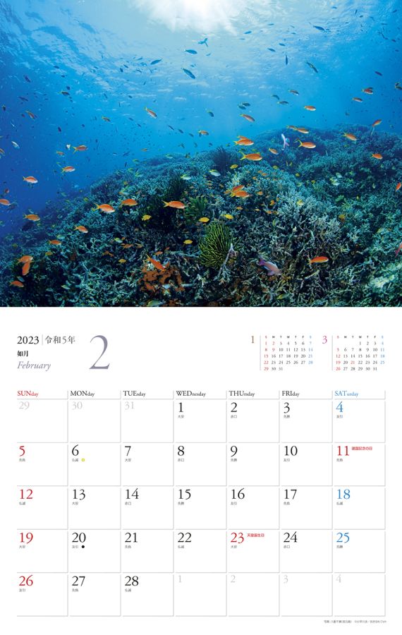 沖縄の美ら海　2月