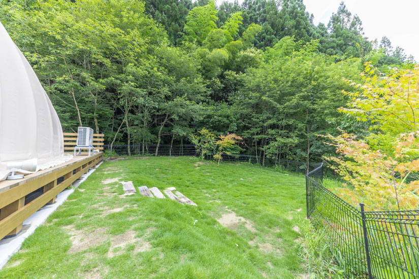 ウッドデッキを囲むプライベートドッグラン。ワンちゃんが自由に駆け回ることができます