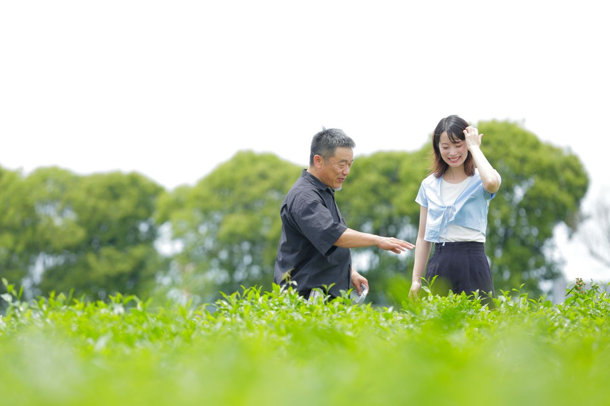 茶園の町で上質な茶を味わい、茶の心を知る。お茶づくしの特別な時間と空間を満喫する旅【一棟貸切宿「茶心」（宮崎県 新富町）】