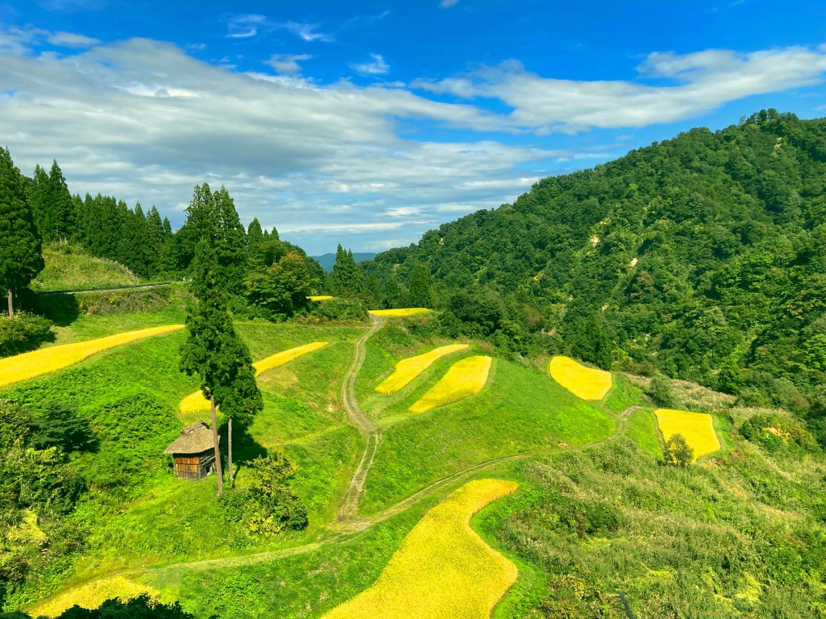 提供：（一社）十日町市観光協会