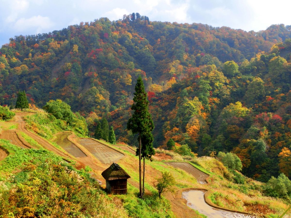 提供：（一社）十日町市観光協会