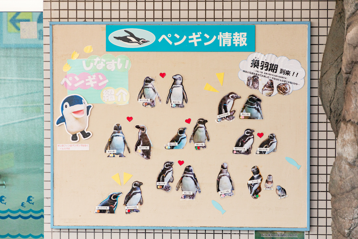 しながわ水族館