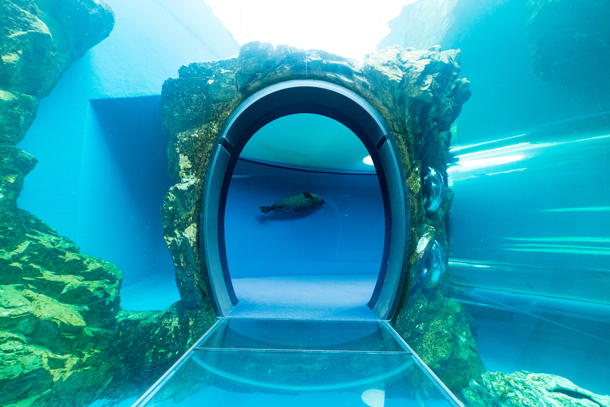 しながわ水族館