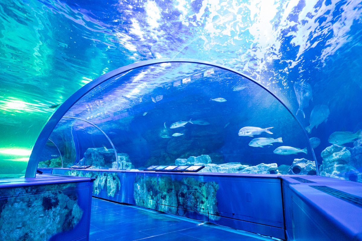 しながわ水族館