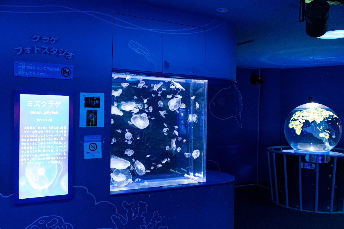 しながわ水族館