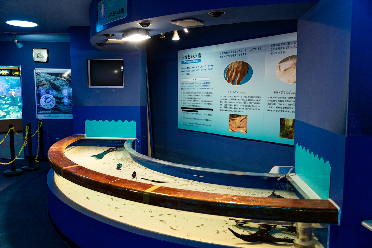 しながわ水族館