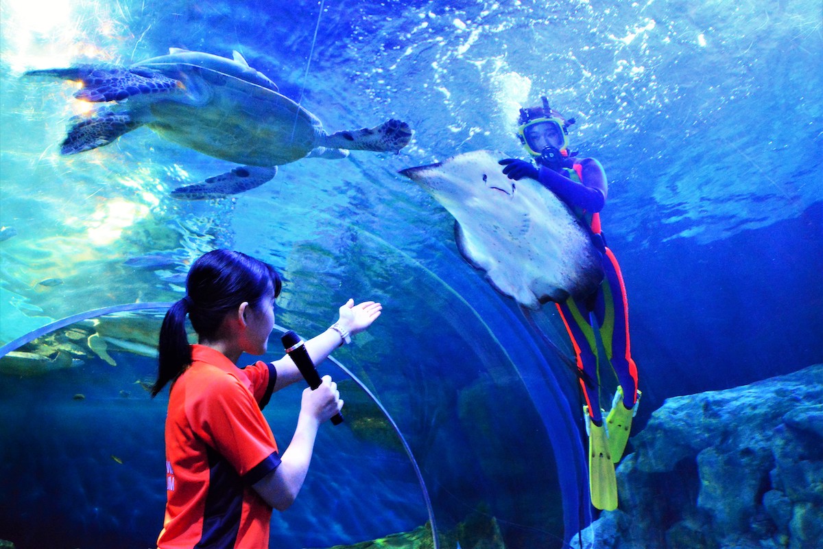 しながわ水族館