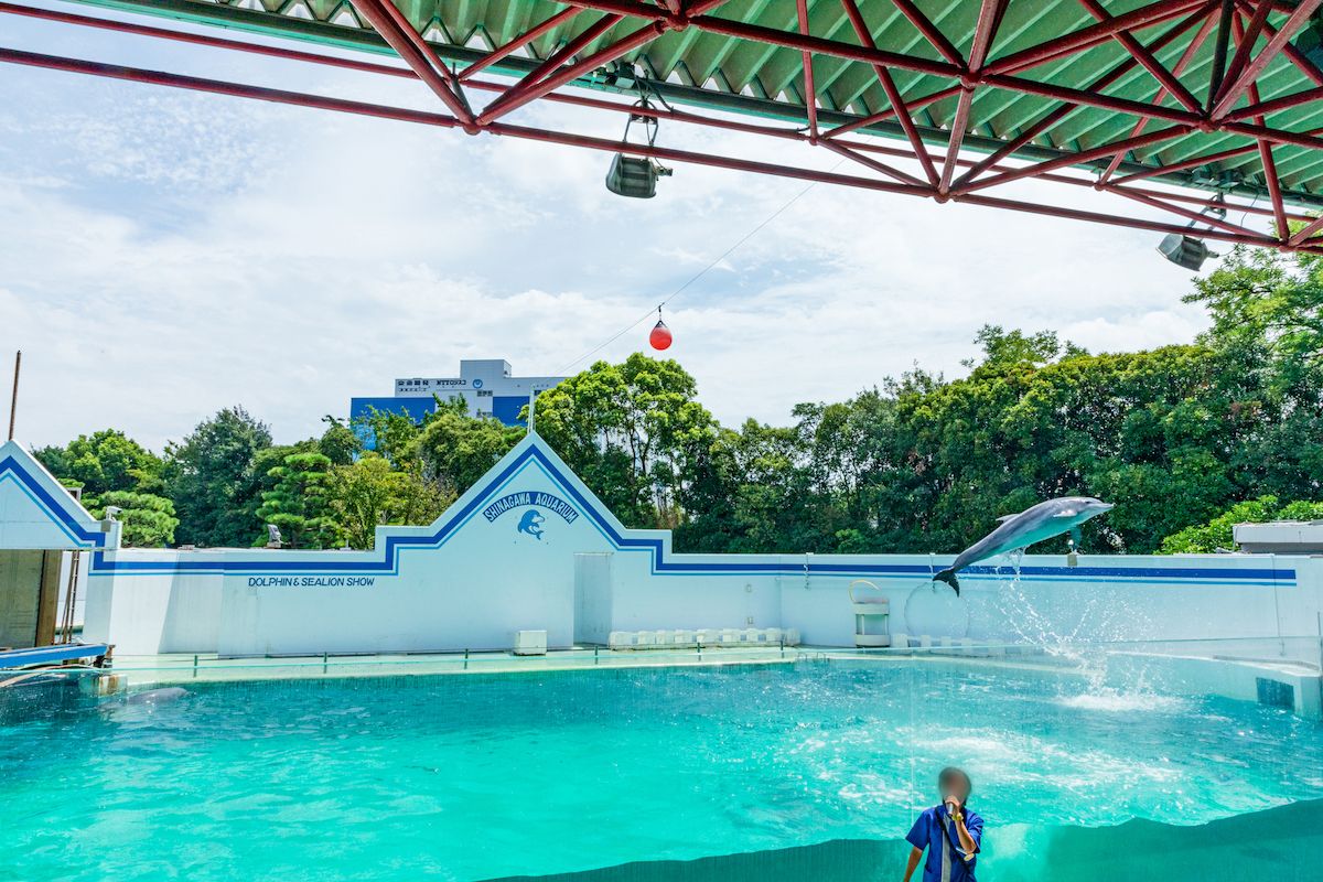 しながわ水族館