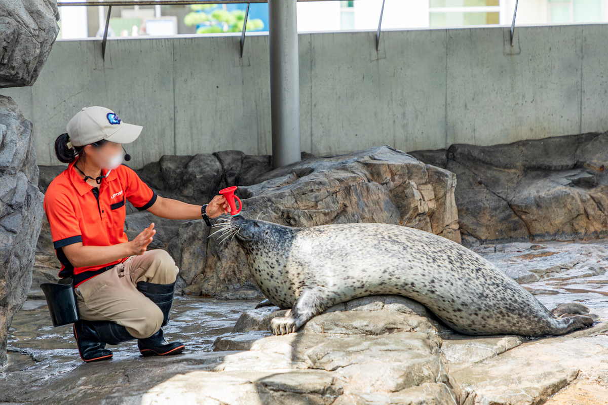 しながわ水族館