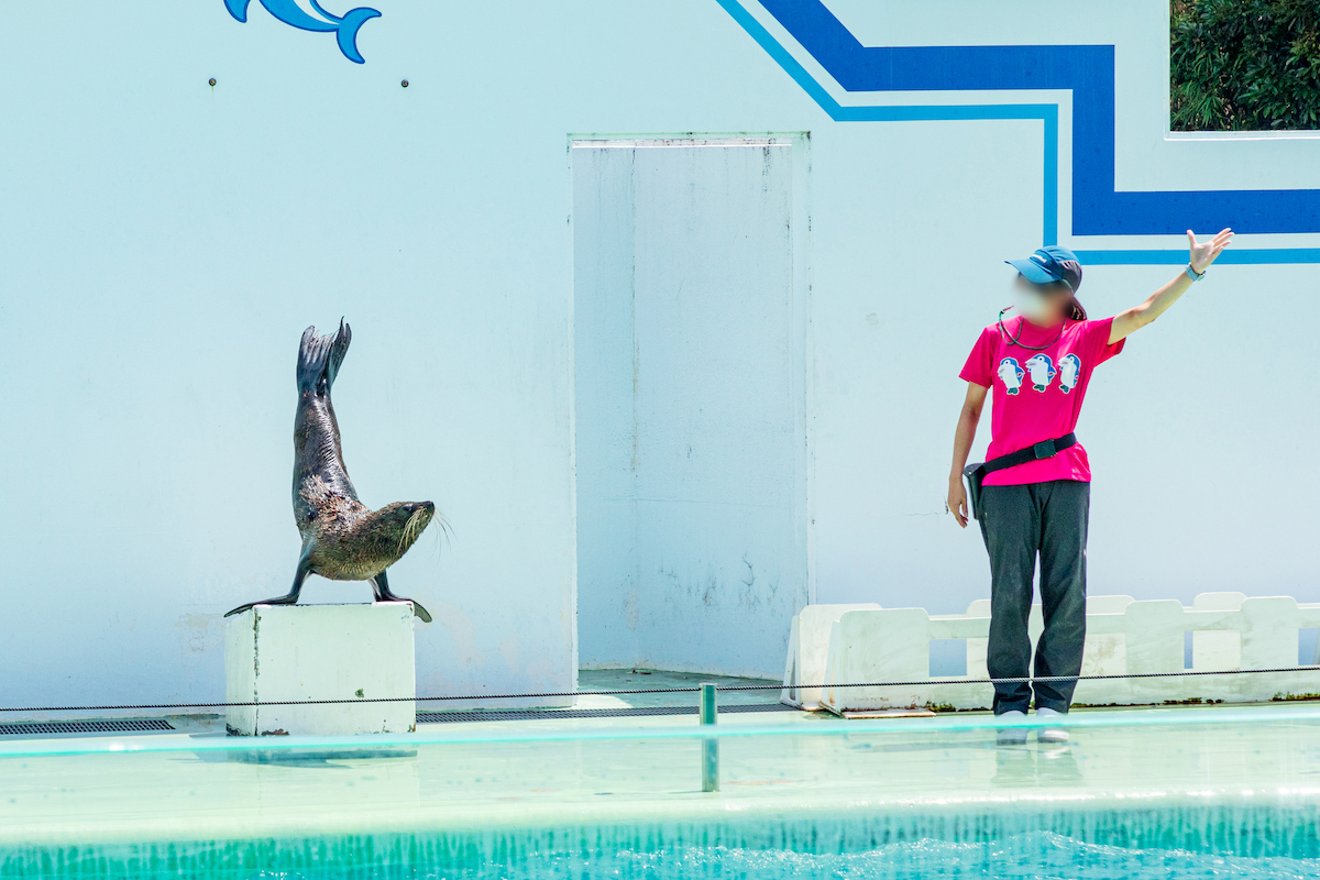 しながわ水族館