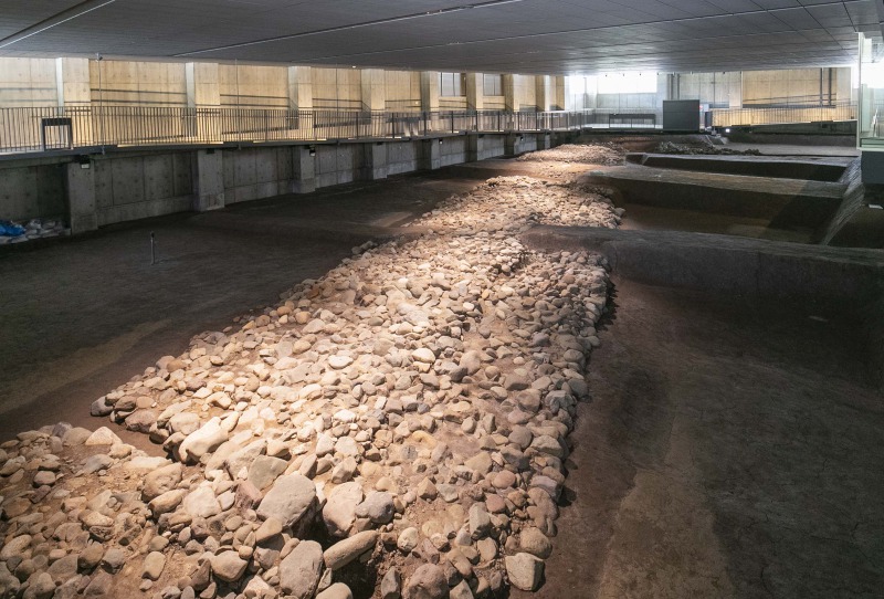 掘り出したままの姿をダイナミックに展示。360度あらゆる角度から眺められます