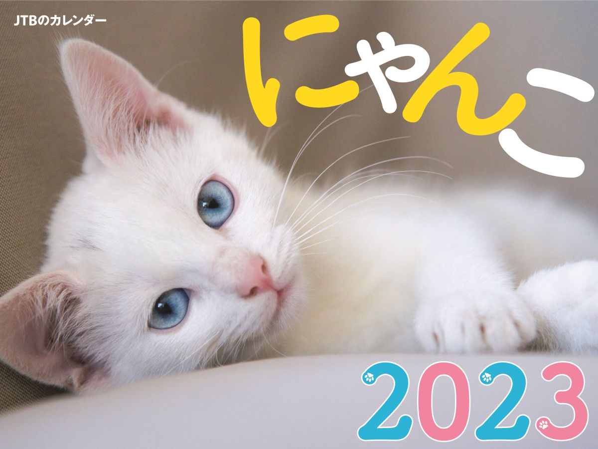 にゃんこ 2023