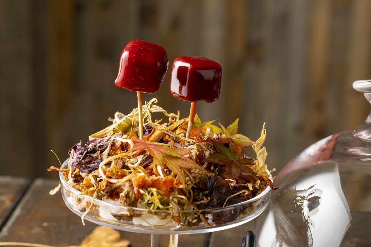 「鴨肉のビーツボンボン」