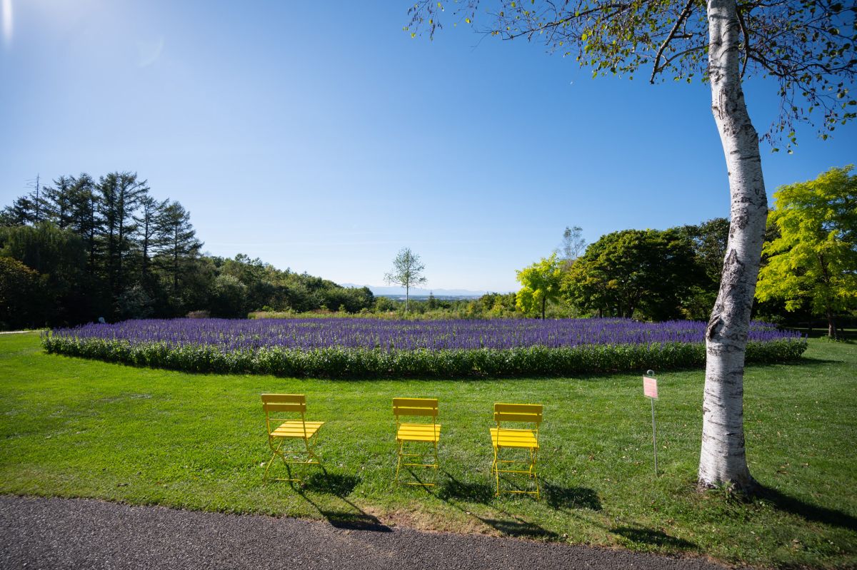 スカイミラーのベンチ