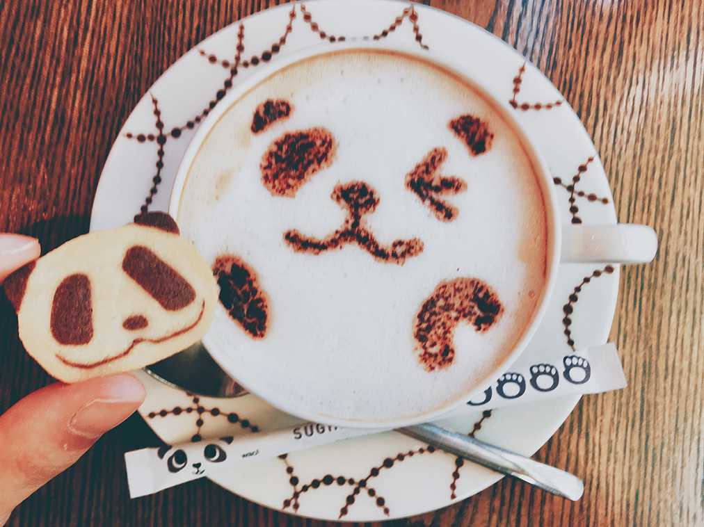 「ぱんだクッキーセット」800円