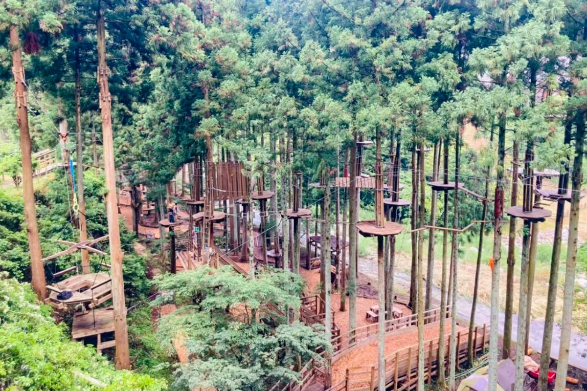 フォレストアドベンチャー・西条