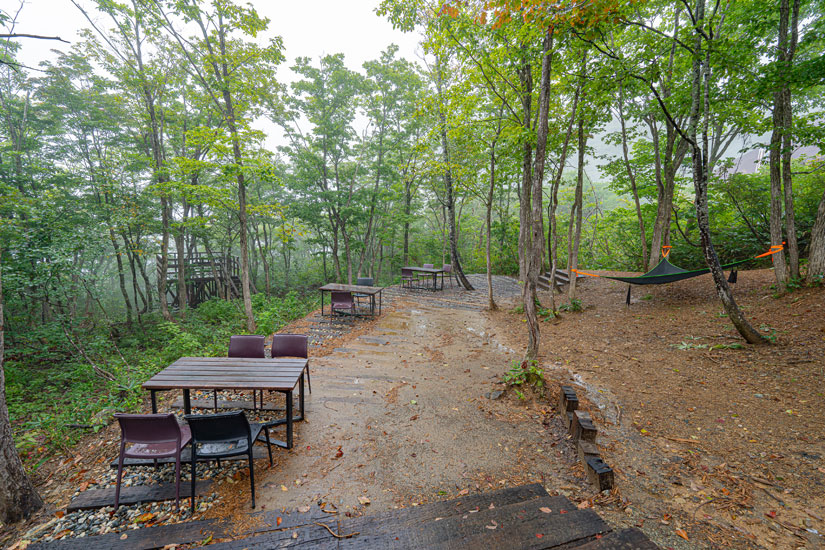 森の中にはハンモックやツリーハウスが。秋には美しい紅葉の景色が広がります