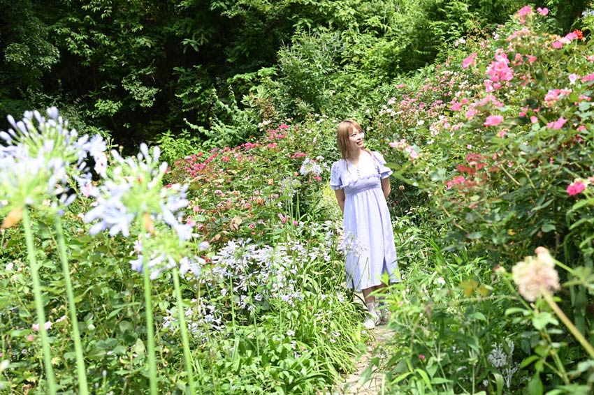 フランスの香り バラの庭