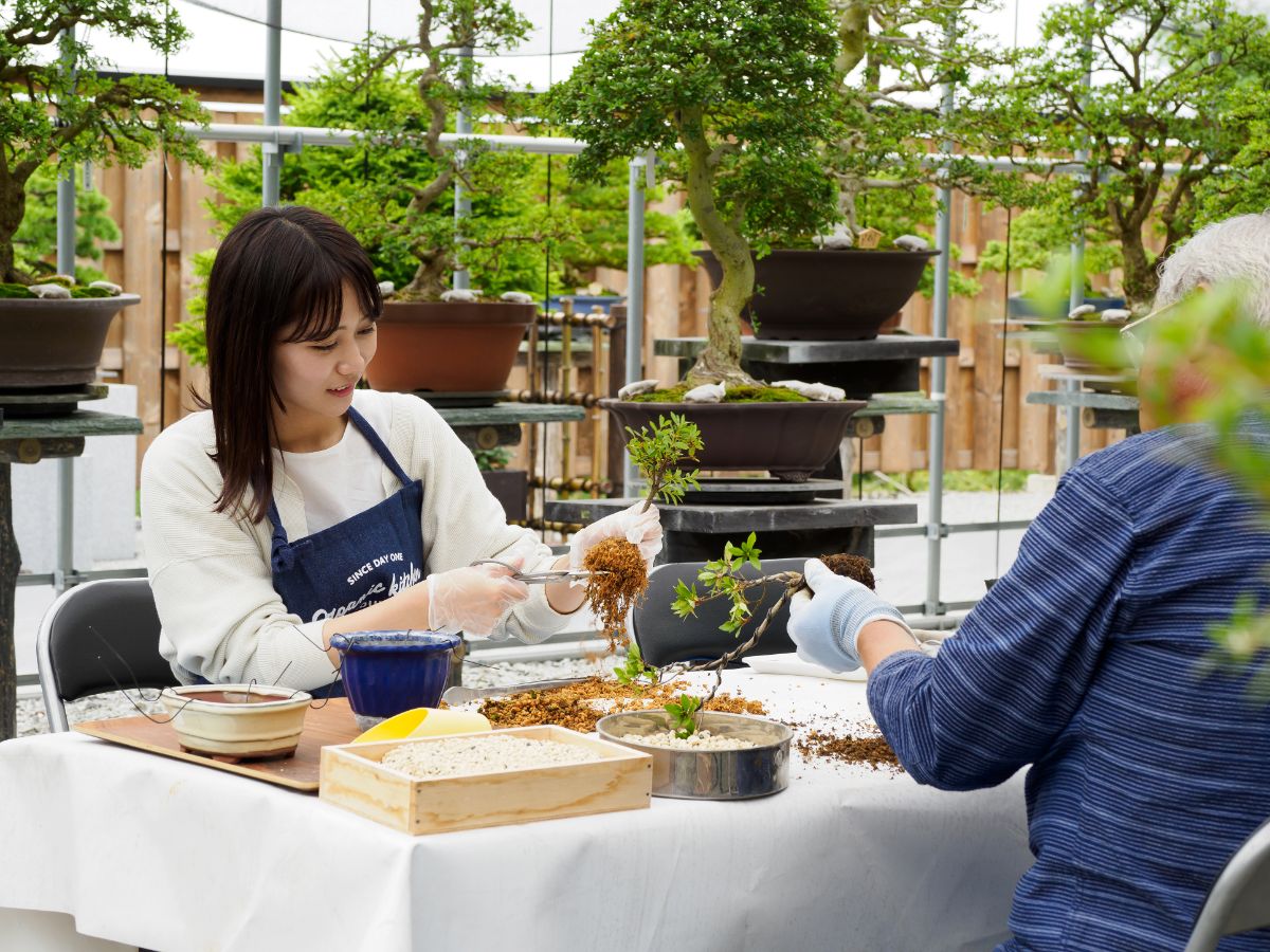 日本の伝統文化・盆栽にふれる宿を拠点に、棚田、渓谷、水路……自然美に圧倒される一関へ【天空のお宿 盆栽民宿 雅館（岩手県 一関市）】