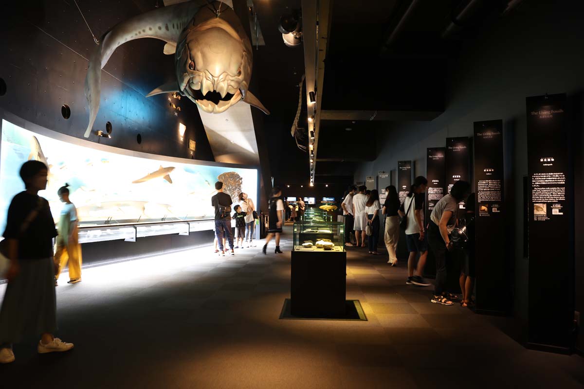 海・生命の進化