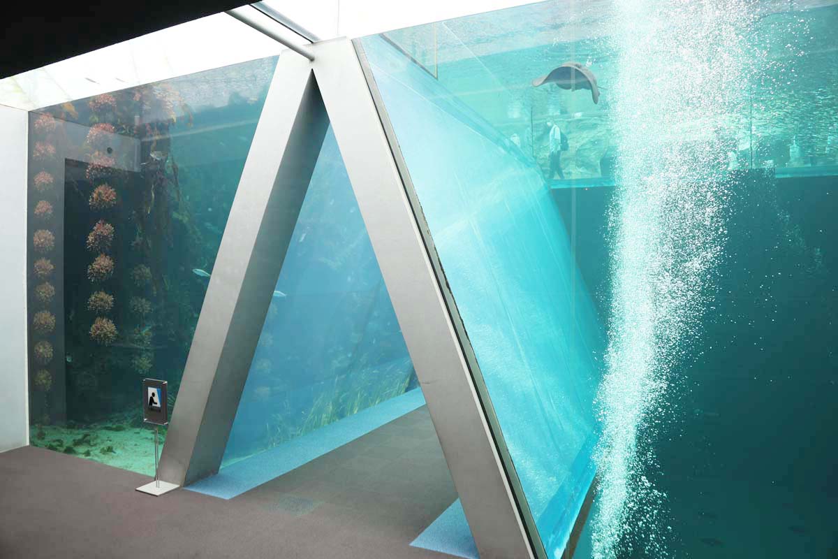 左が親潮水槽、右が黒潮水槽