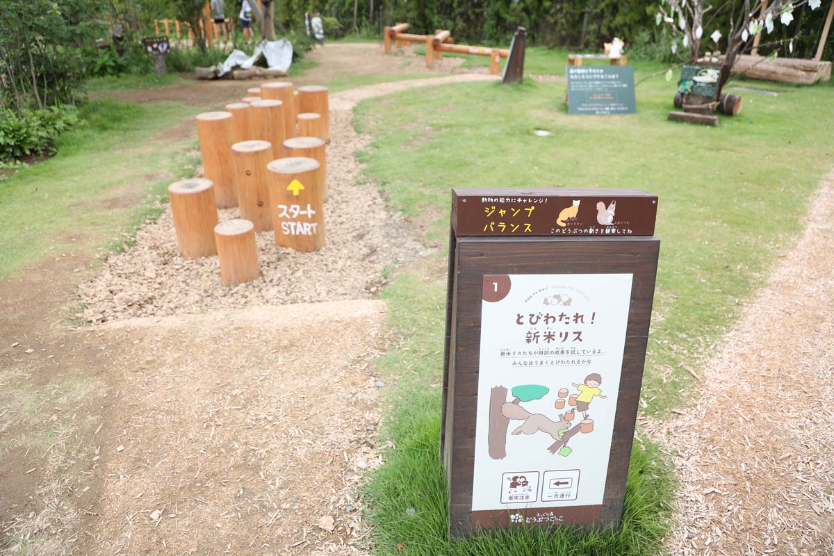 とびわたれ!新米リス